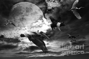 INGO Art .  Unique Art For That Unique Person On Your Christmas Holiday Shopping List . By Wingsdomain.com