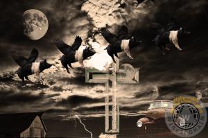 When Pigs Fly